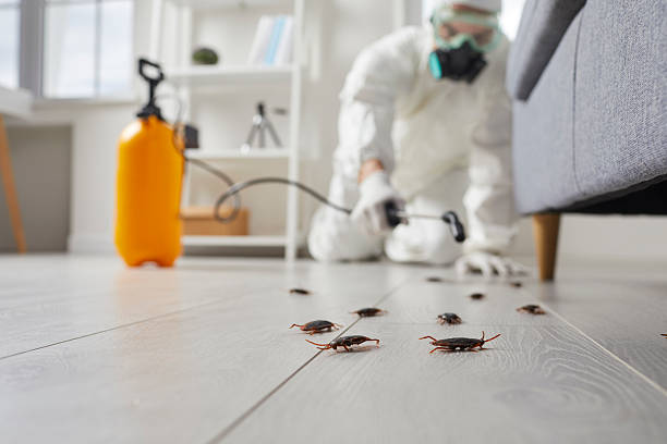 Commercial Kitchen Cockroach Control in Greensburg
